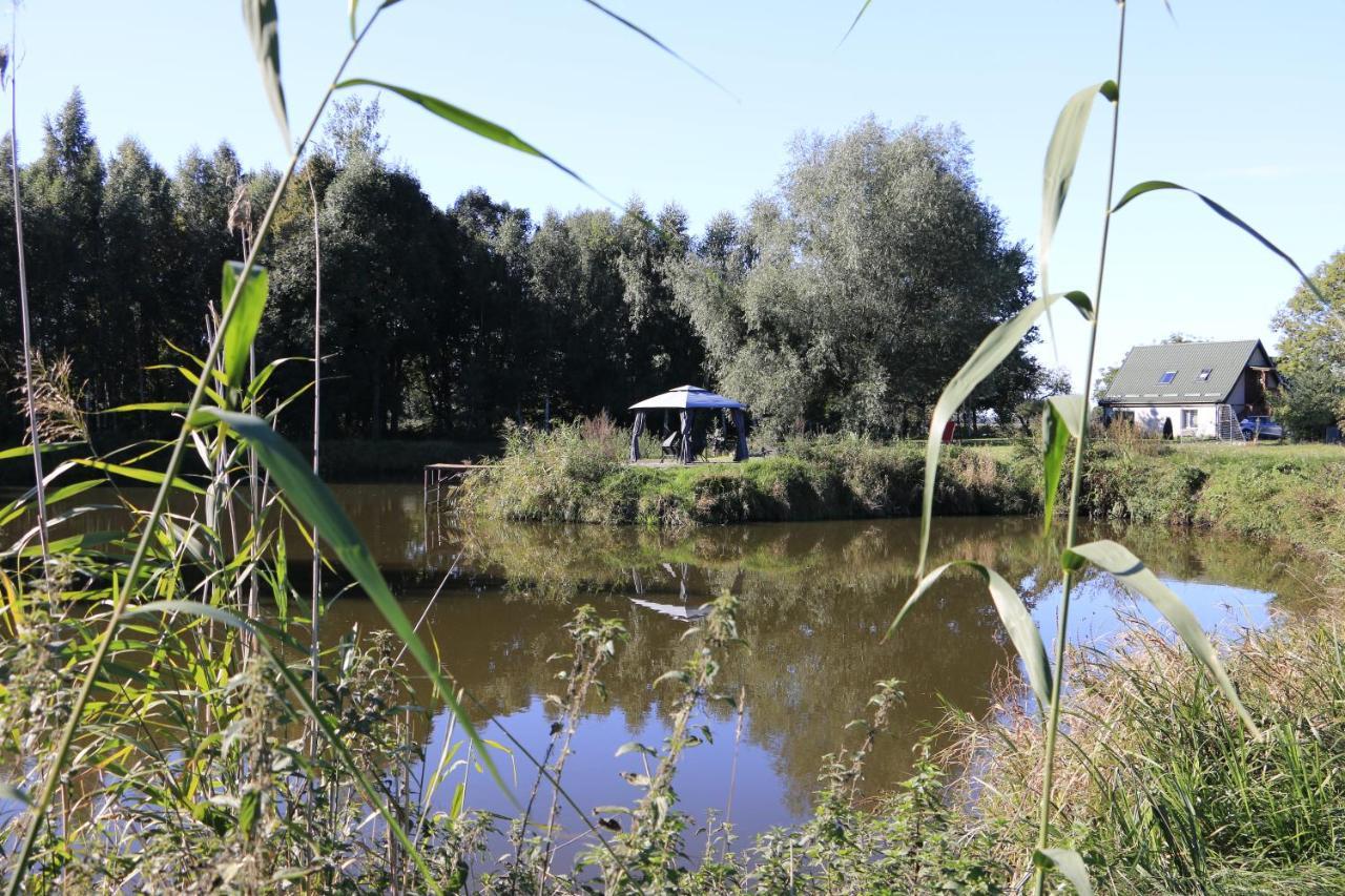 Agroturystyka Zulawiaczek Nowy Dwór Gdański Dış mekan fotoğraf