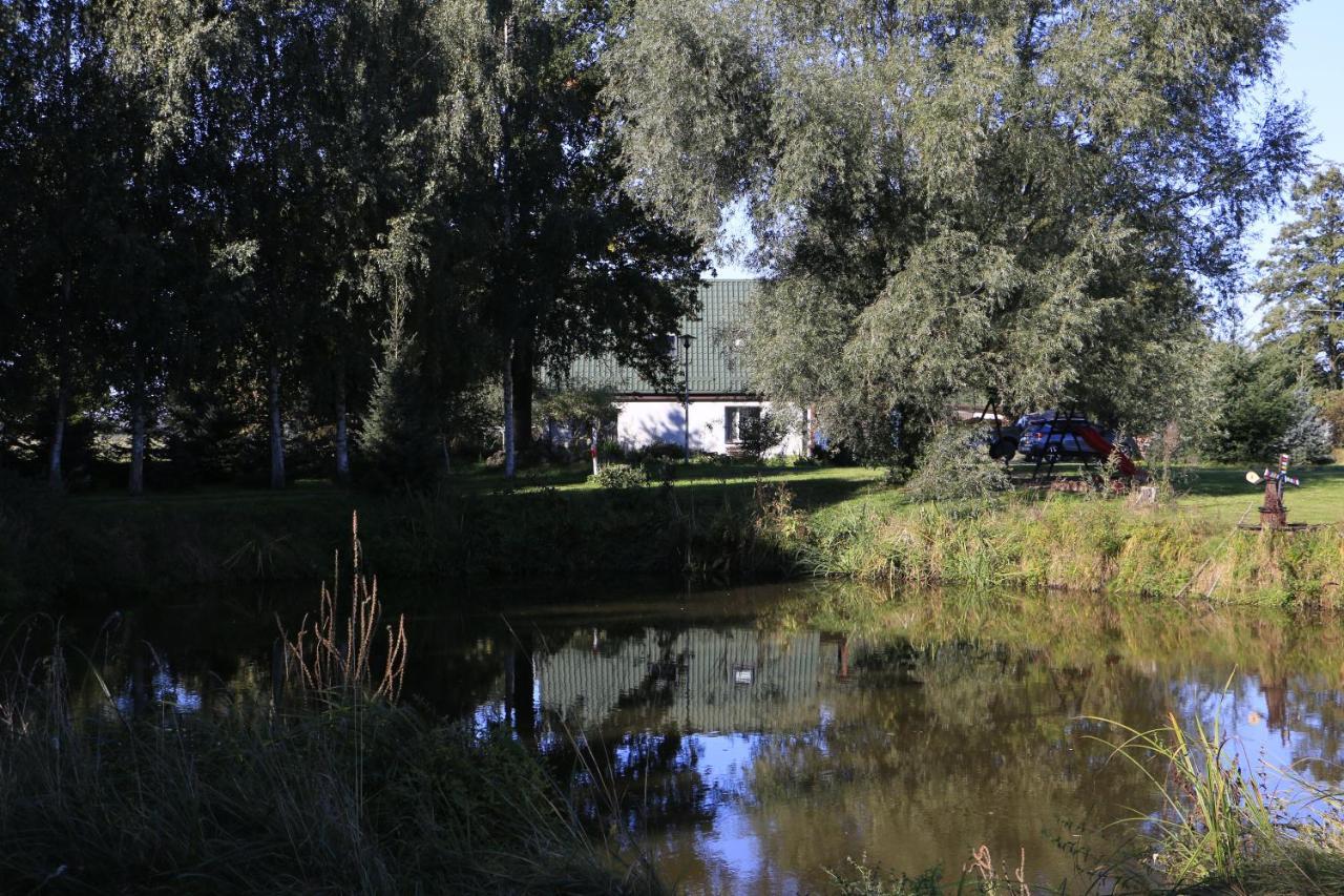 Agroturystyka Zulawiaczek Nowy Dwór Gdański Dış mekan fotoğraf